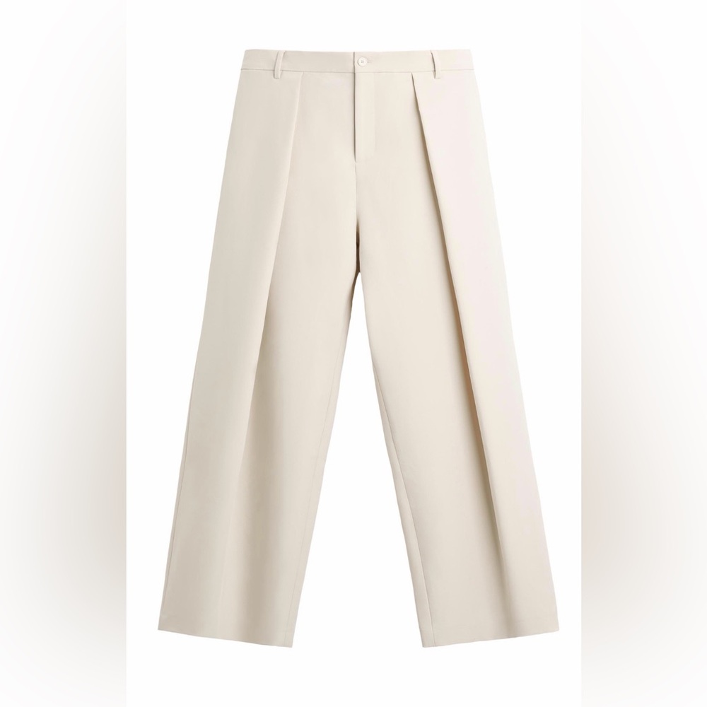 Zara Drape Pleated Wide-Leg Trousers
